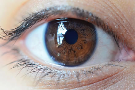 Optic nerve assessment